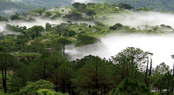 Best Places to visit in Lansdowne