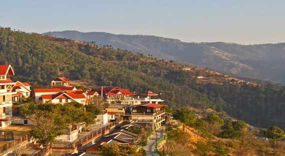 Best Places to visit in Mashobra