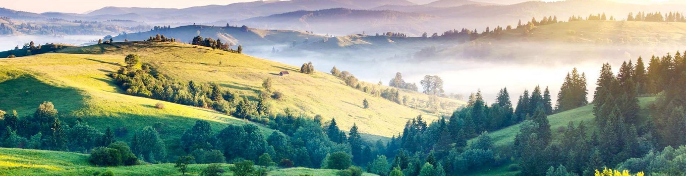 Best Places to visit in Kodaikanal