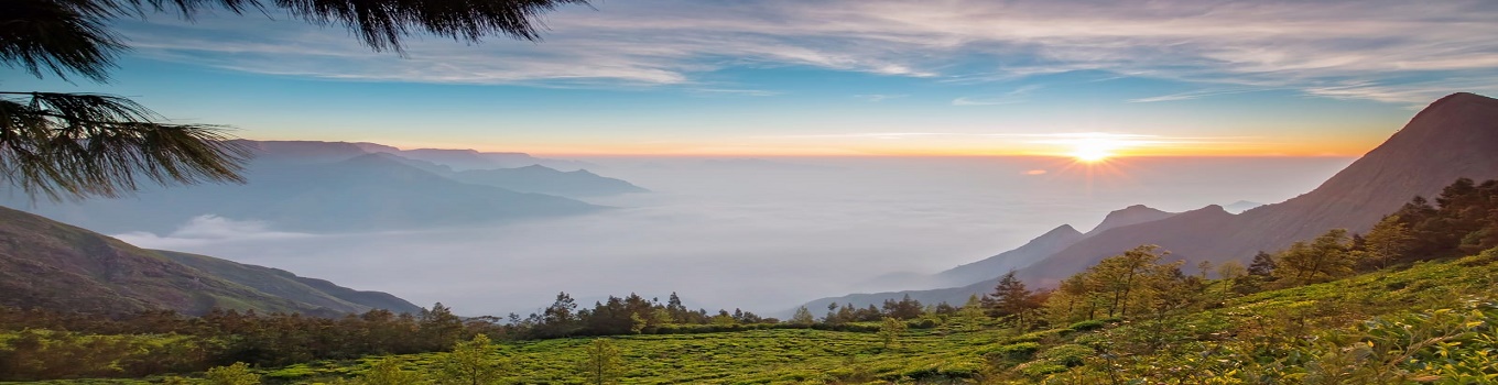 Best Places to visit in Matheran