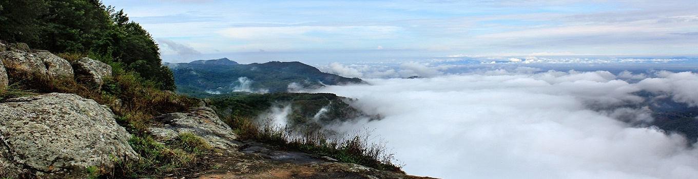 Best Places to visit in Yercaud