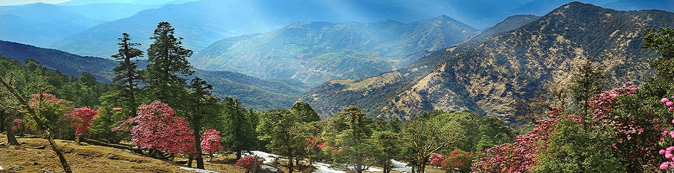 Best Places to visit in Mukteshwar