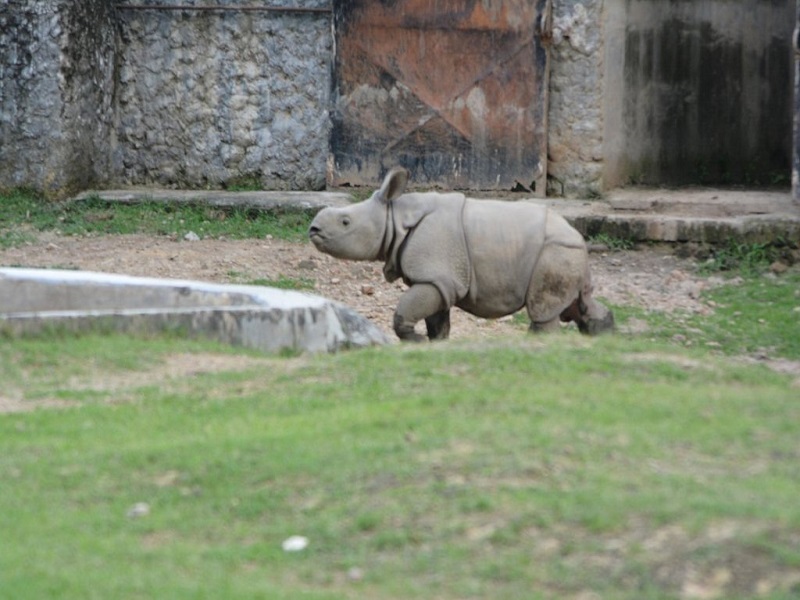 Kanpur-places-to-visit-images