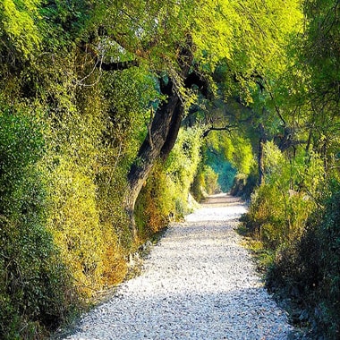 Bharatpur National Park