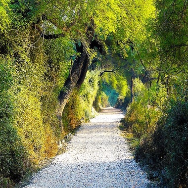 Bharatpur-places-to-visit-images