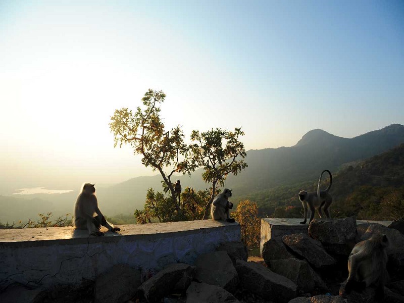 Mount Abu-places-to-visit-images