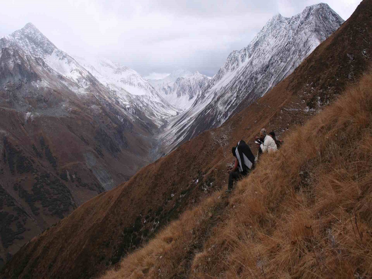 The Great Himalayan National Park, Kullu