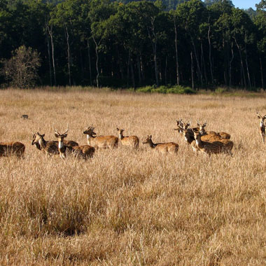 Haridwar-places-to-visit-images