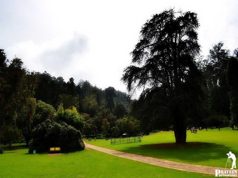 Ooty Botanical Gardens