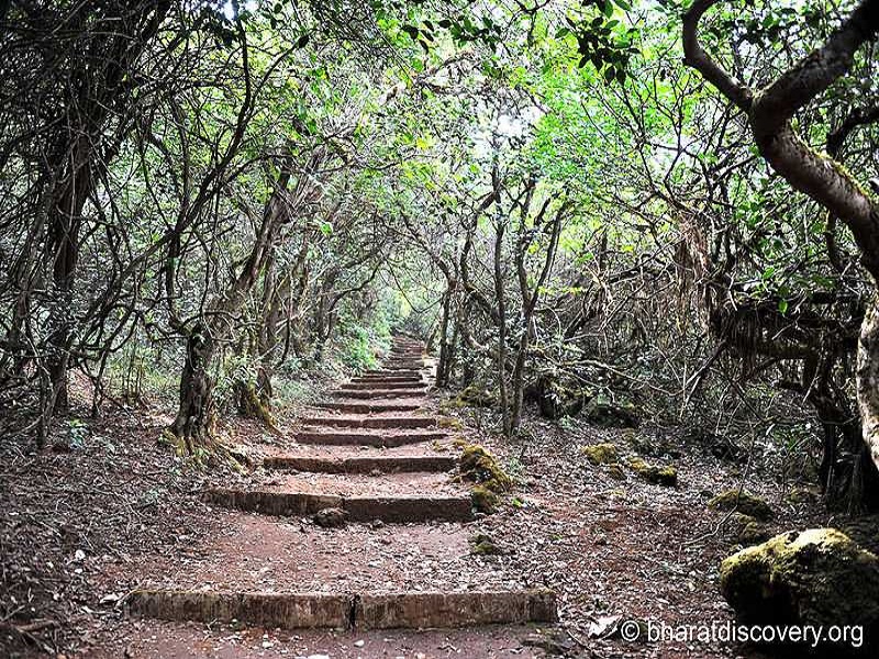 Mahabaleshwar-places-to-visit-images