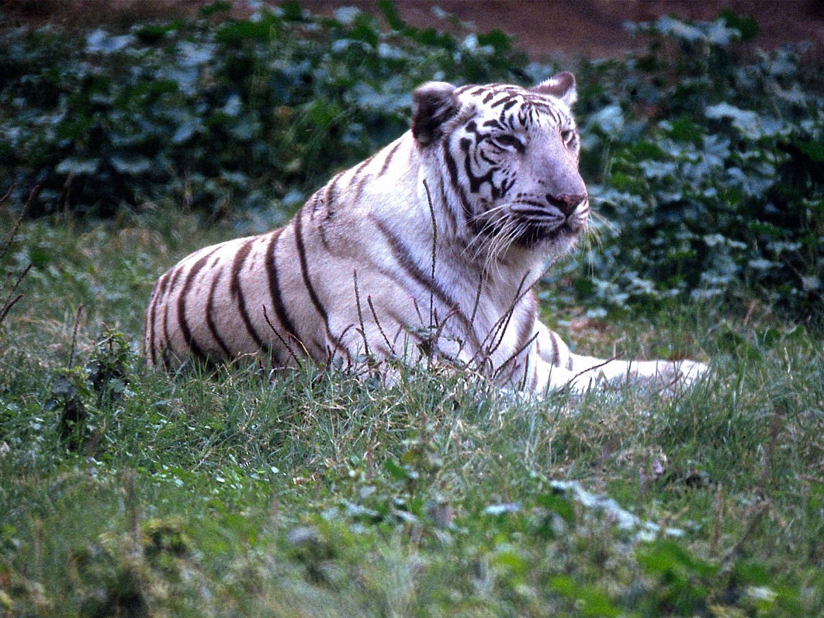 National Zoological Park