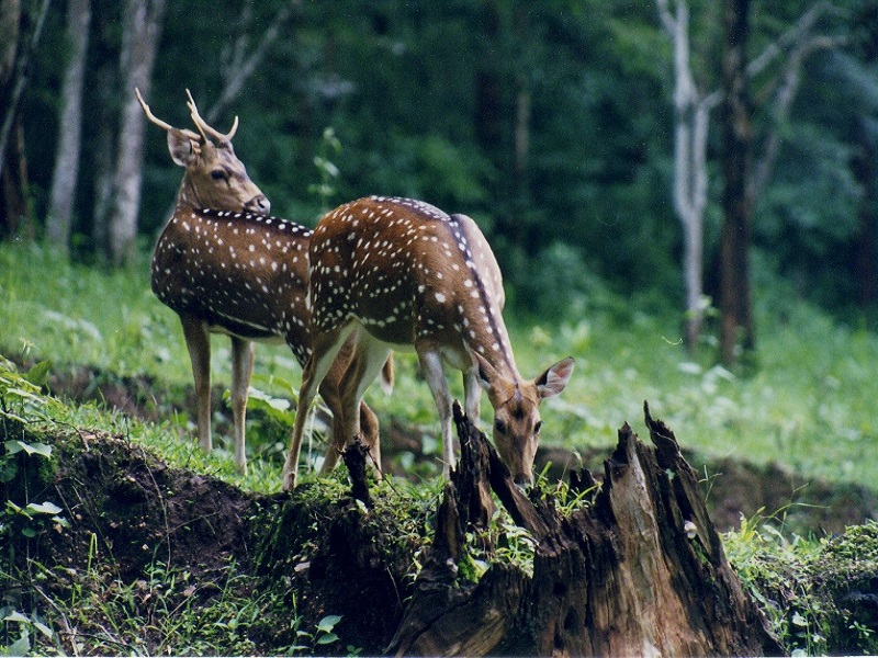 Bhagwan Mahavir Sanctuary 