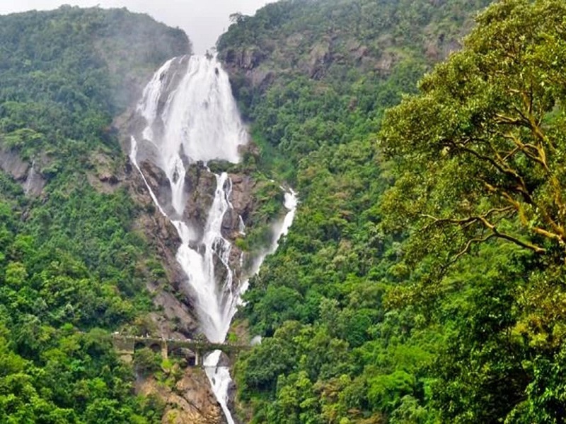  Dudhsagar Waterfalls 