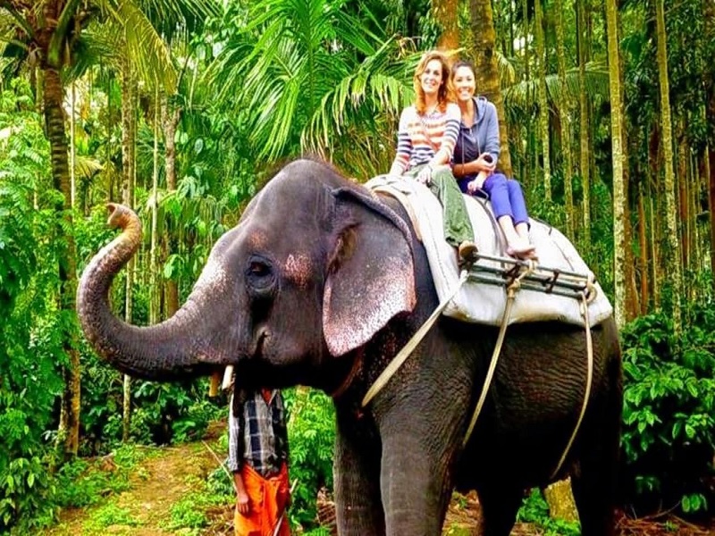 Elephant Rides 
