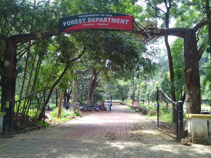  Campal Gardens 