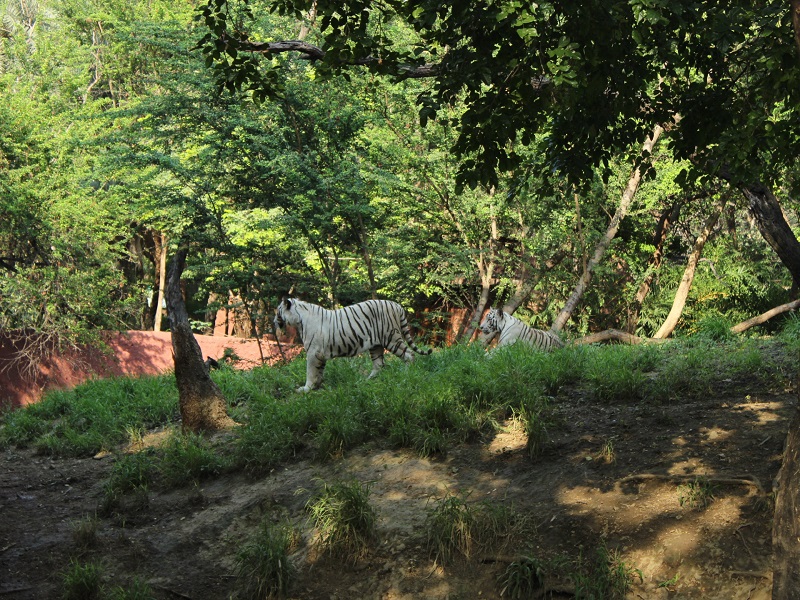 KBR National Park 
