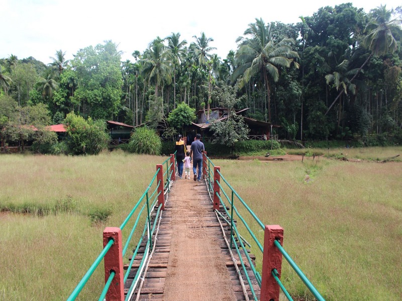 Tropical Spice Plantation 
