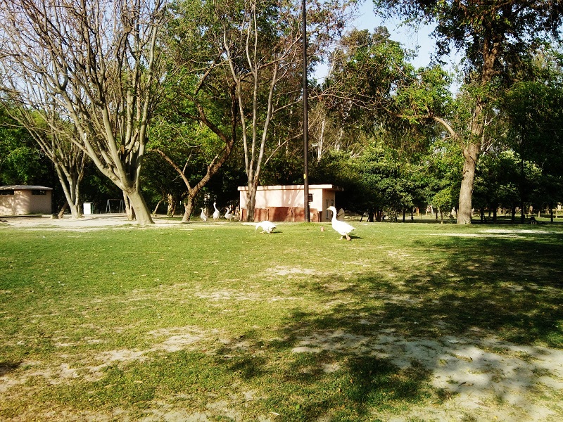 Dr Ram Manohar Lohiya Park 