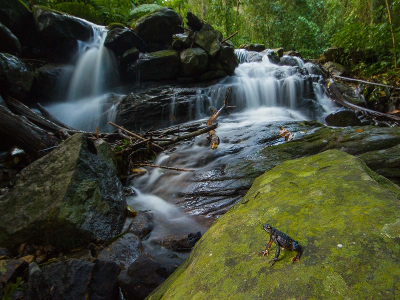  Honey Valley - Nilakandi Falls 