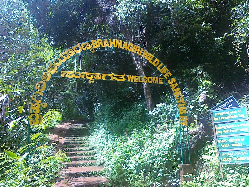  Brahmagiri Wildlife Sanctuary 