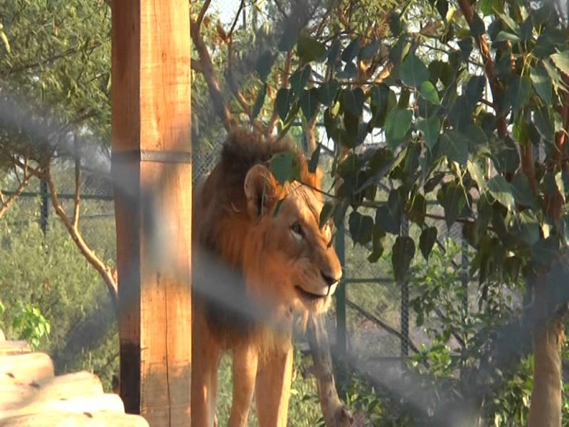 Machia Biological Park 