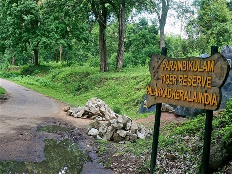 Shimla Reserve Forest Sanctuary