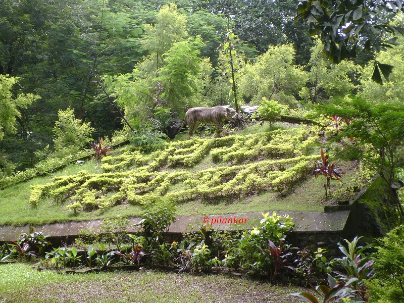 Sanjay Gandhi National park 