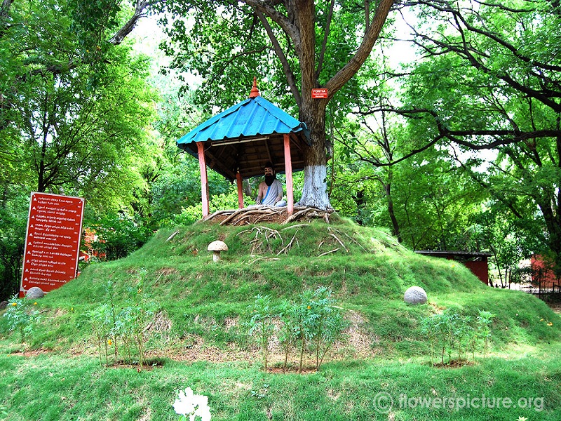 TNAU Botanical Garden