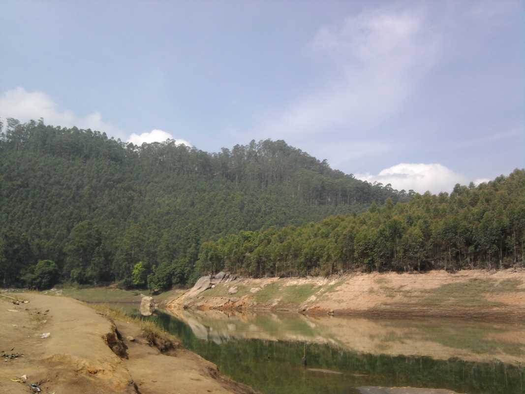 Munnar-places-to-visit-images