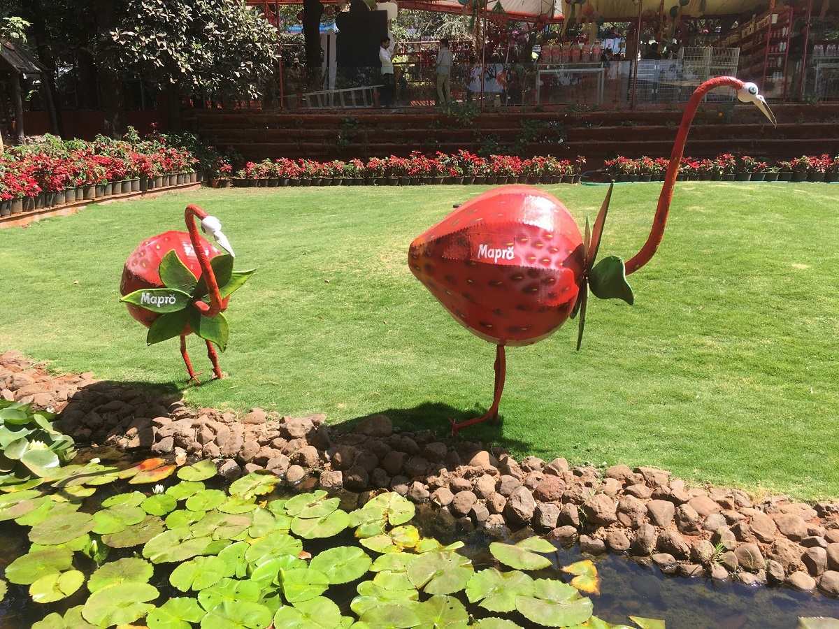 Mapro Garden 