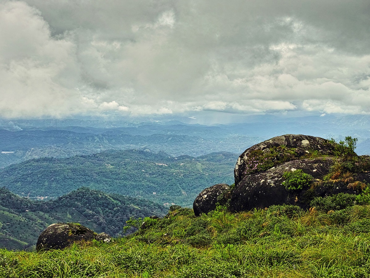 Pothamedu View Point