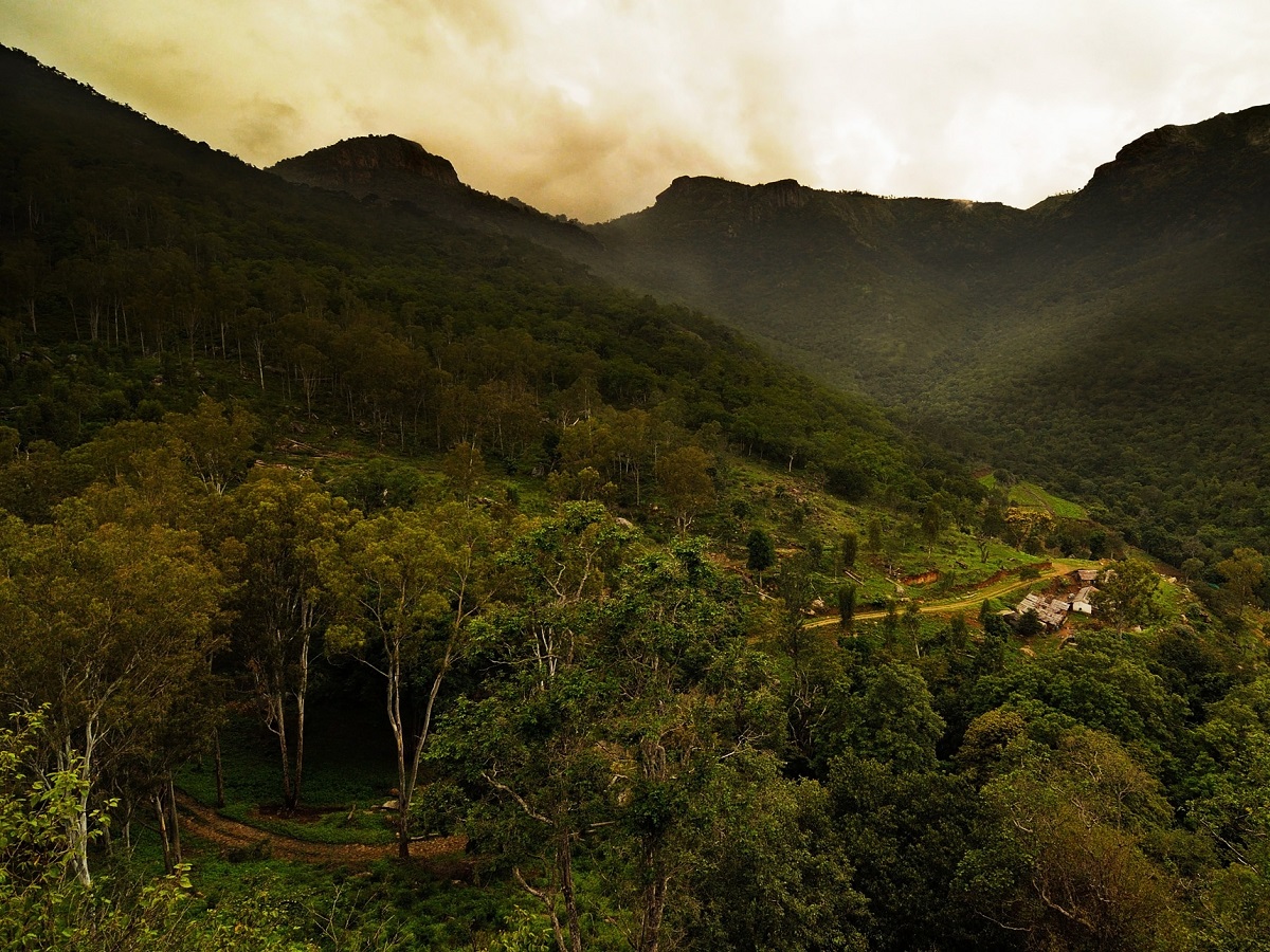  Bison Valley, Bellikkal 