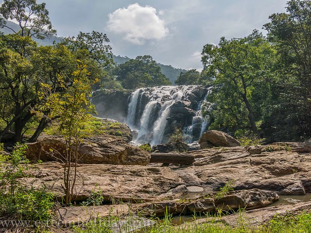 Munnar-places-to-visit-images