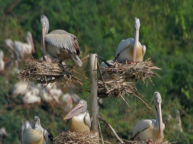 Guntur-places-to-visit-images