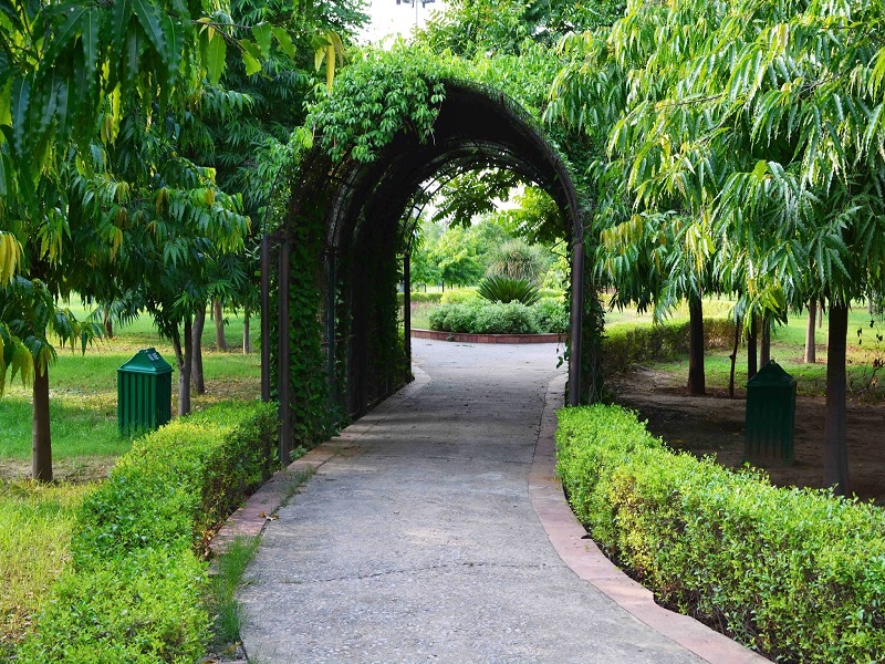 Tau Devi Lal Biodiversity Park 