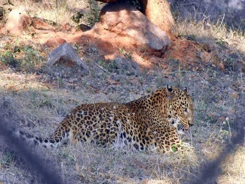  Kambalakonda Wildlife Sanctuary 