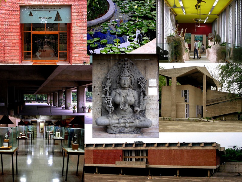 Museum of the Evolution of Life 