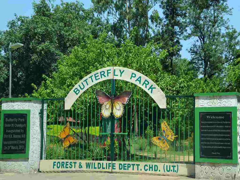 Butterfly Park