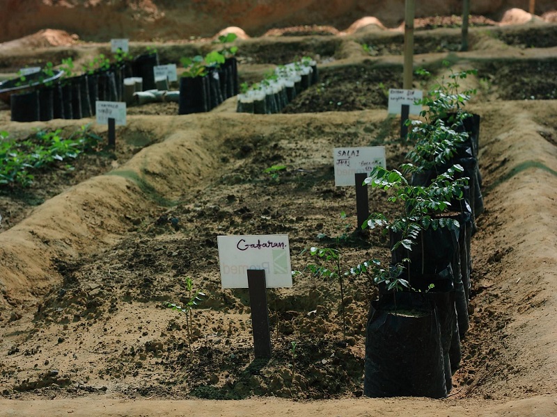 Aravalli Biodiversity Park 