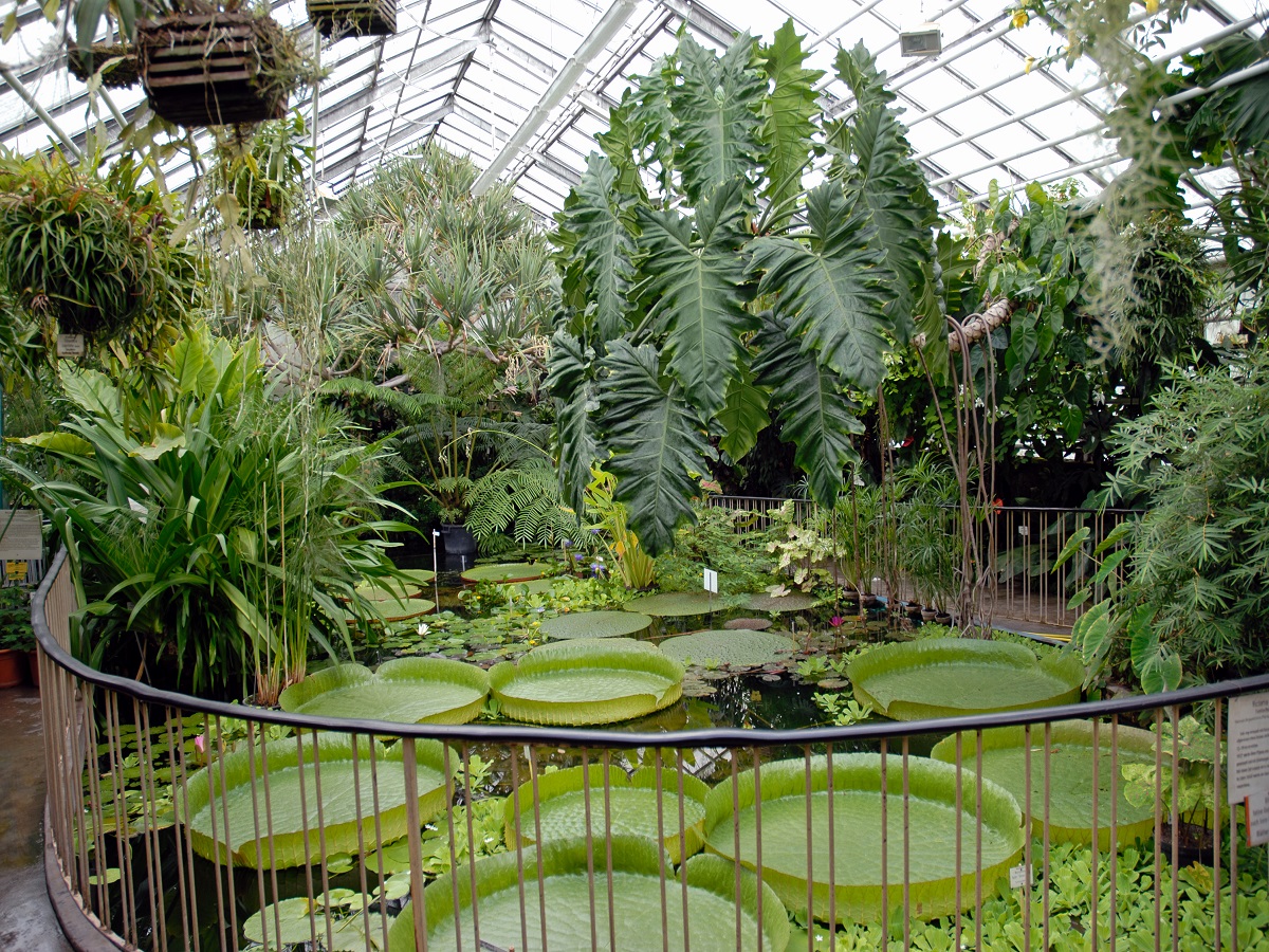 Botanical Garden