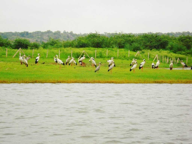 Gurugram-places-to-visit-images