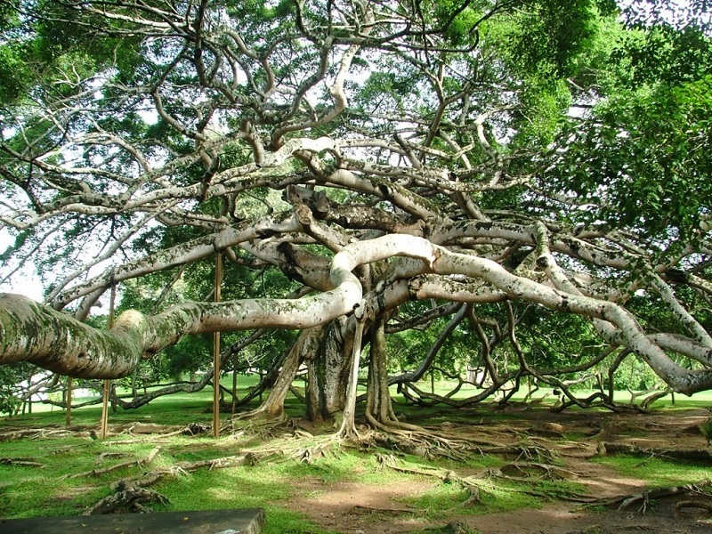 Anantapur-places-to-visit-images