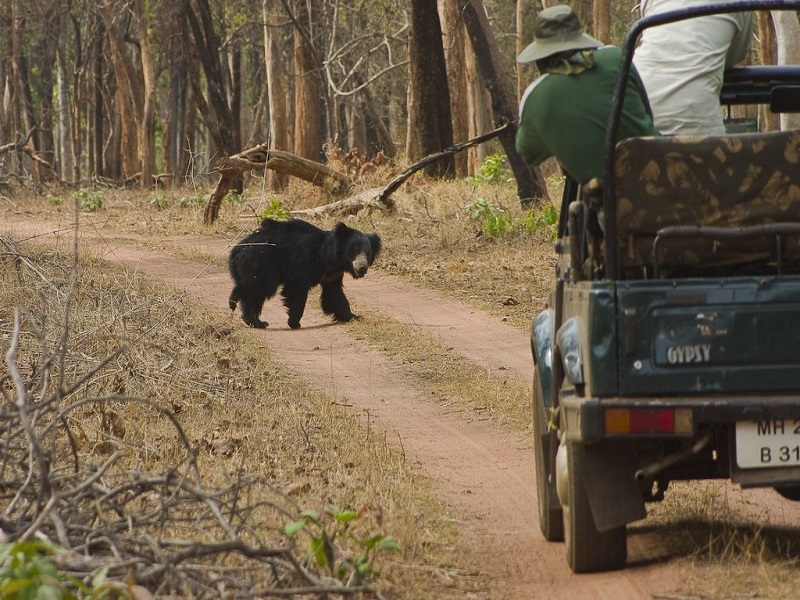 Gugamal National Park 
