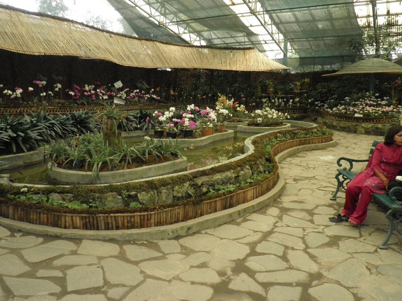 Pandit Nehru Botanical Gardens 