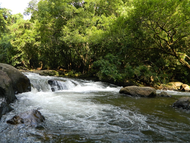 Thommankuthu Falls 