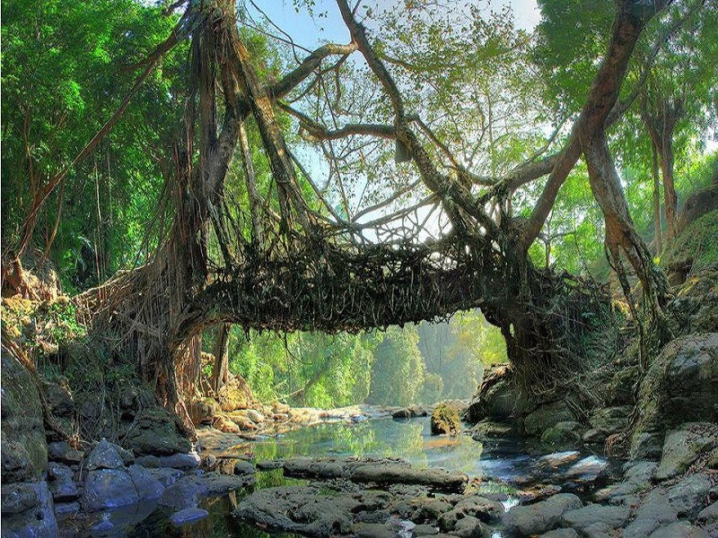 Shillong-places-to-visit-images