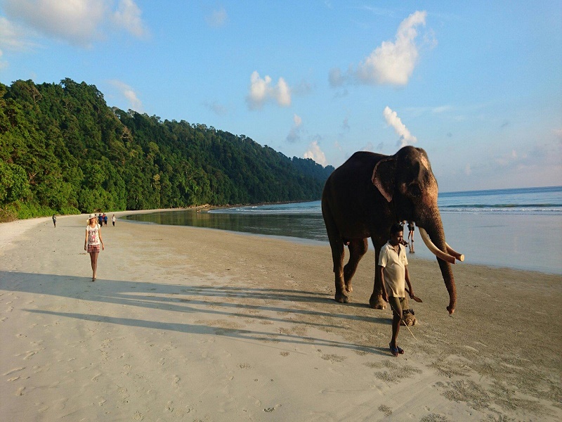 Elephant Beach 