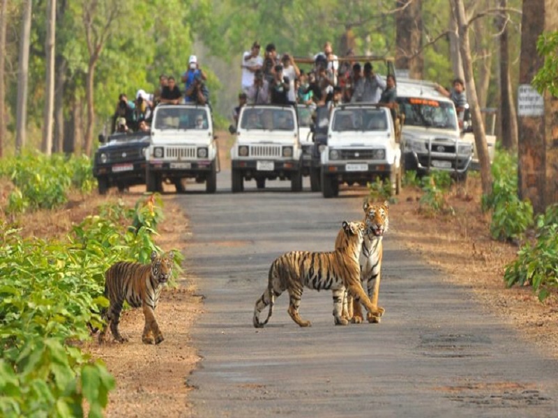  Sitamata Wildlife Sanctuary 