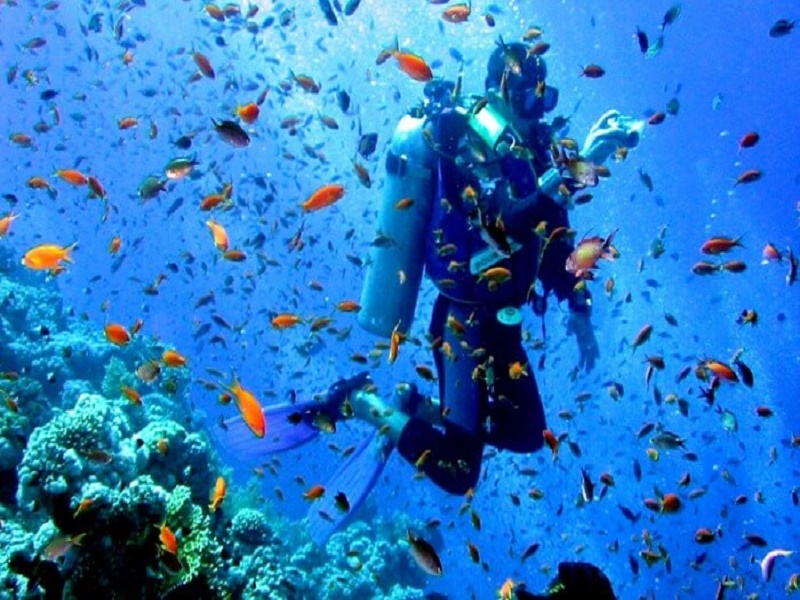 Scuba Diving In Andaman 