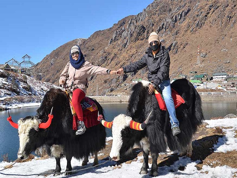 Yak Safaris 